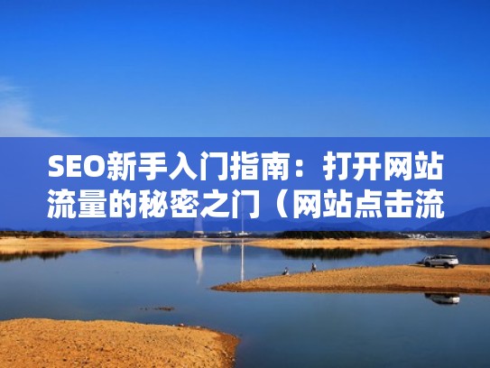 SEO新手入门指南：打开网站流量的秘密之门（网站点击流量）