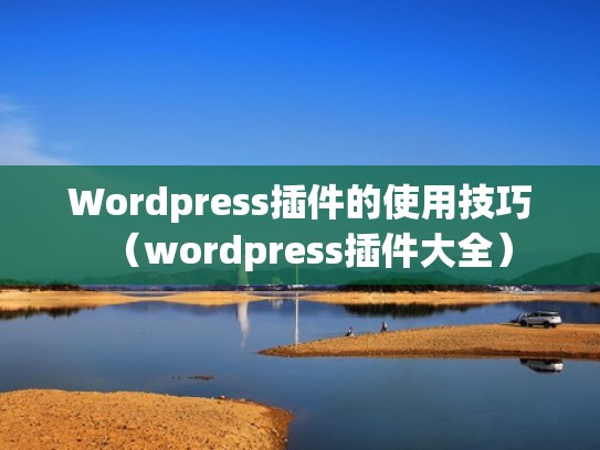 Wordpress插件的使用技巧（wordpress插件大全）
