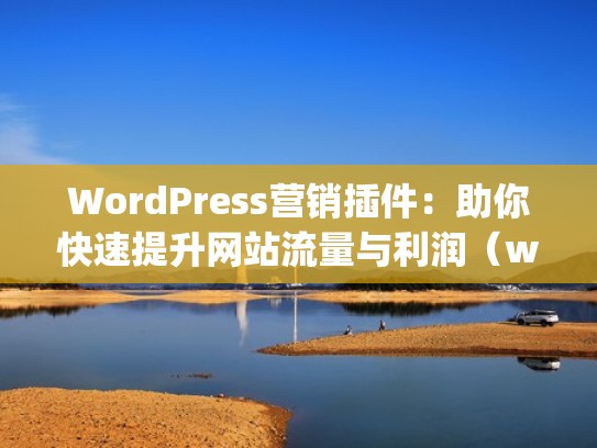WordPress营销插件：助你快速提升网站流量与利润（wordpress推广插件）