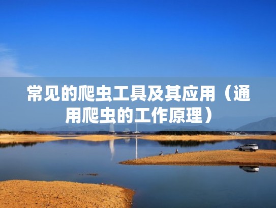 常见的爬虫工具及其应用(通用爬虫的工作原理) 常见的爬虫工具及其应用(通用爬虫的工作原理)