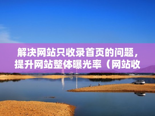 解决网站只收录首页的问题，提升网站整体曝光率（网站收录量怎么提升）