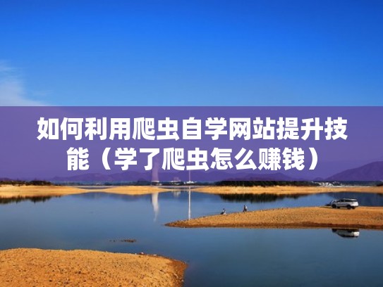 如何利用爬虫自学网站提升技能(学了爬虫怎么赚钱) 如何利用爬虫自学网站提升技能(学了爬虫怎么赚钱)