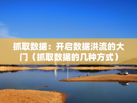 抓取数据:开启数据洪流的大门(抓取数据的几种方式) 抓取数据:开启数据洪流的大门(抓取数据的几种方式)