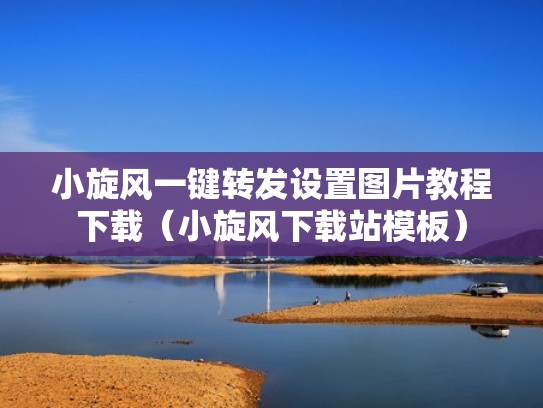 小旋风一键转发设置图片教程下载（小旋风下载站模板）