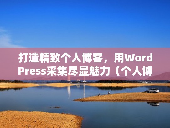 打造精致个人博客，用WordPress采集尽显魅力（个人博客的网站）