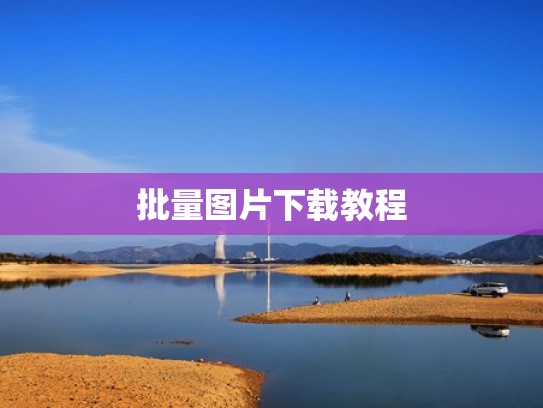 批量图片下载教程