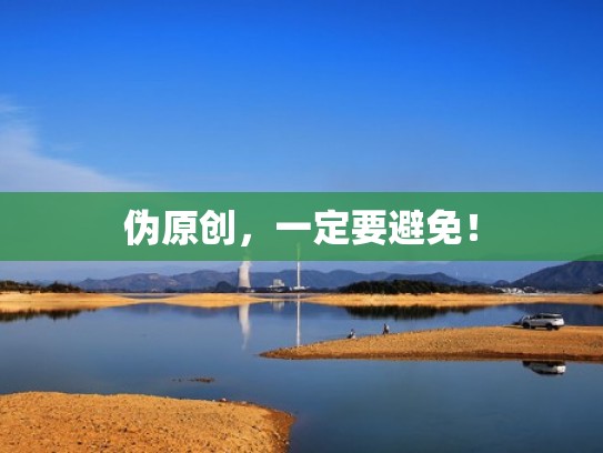 伪原创,一定要避免! 伪原创,一定要避免!