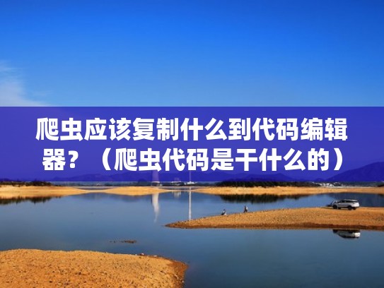 爬虫应该复制什么到代码编辑器？（爬虫代码是干什么的）