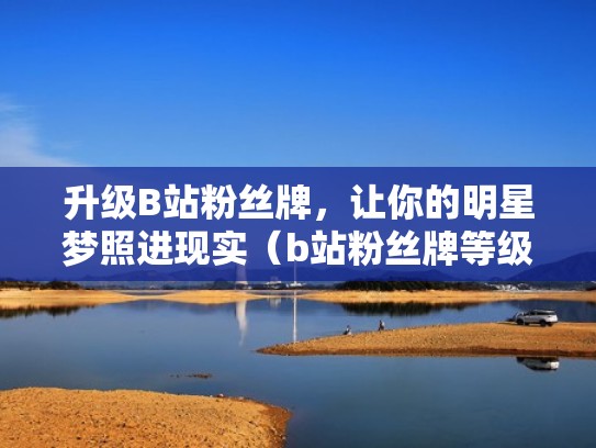 升级B站粉丝牌,让你的明星梦照进现实(b站粉丝牌等级怎么提升) 升级B站粉丝牌,让你的明星梦照进现实(b站粉丝牌等级怎么提升)