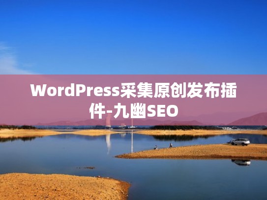 WordPress采集原创发布插件-九幽SEO