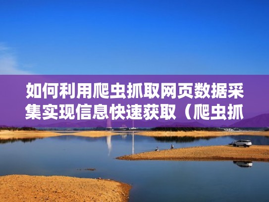 如何利用爬虫抓取网页数据采集实现信息快速获取（爬虫抓取网站内容）