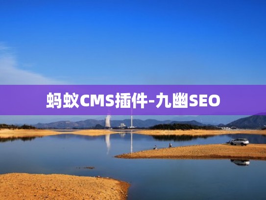蚂蚁CMS插件-九幽SEO