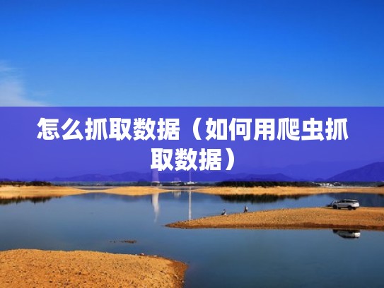 怎么抓取数据（如何用爬虫抓取数据）