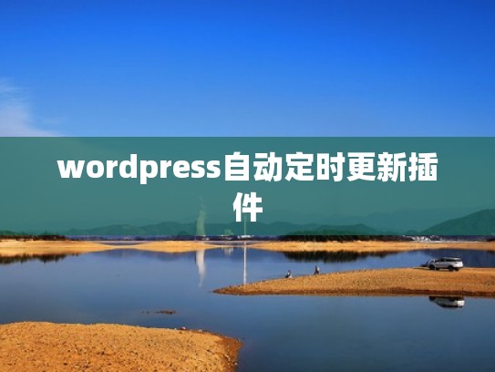 wordpress自动定时更新插件