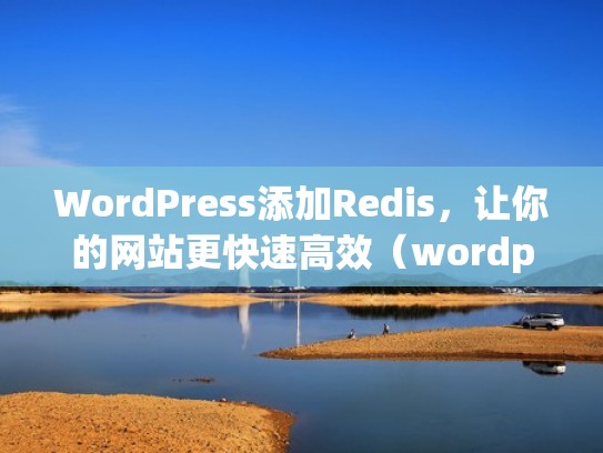 WordPress添加Redis，让你的网站更快速高效（wordpress redis）