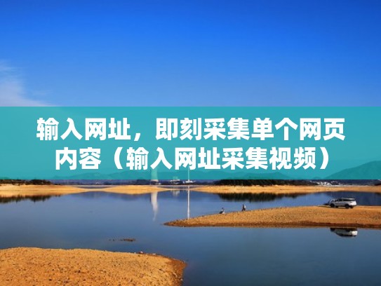 输入网址，即刻采集单个网页内容（输入网址采集视频）
