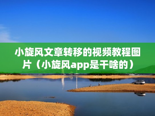 小旋风文章转移的视频教程图片（小旋风app是干啥的）