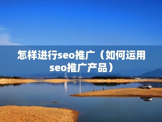 怎样进行seo推广(如何运用seo推广产品) 怎样进行seo推广(如何运用seo推广产品)