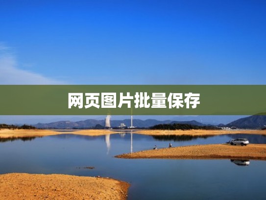 网页图片批量保存 网页图片批量保存