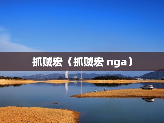 抓贼宏（抓贼宏 nga）