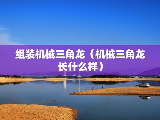 组装机械三角龙（机械三角龙长什么样）