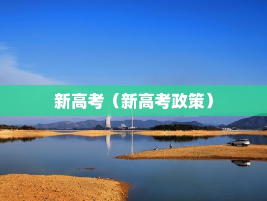 新高考（新高考政策）