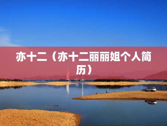 亦十二（亦十二丽丽姐个人简历）