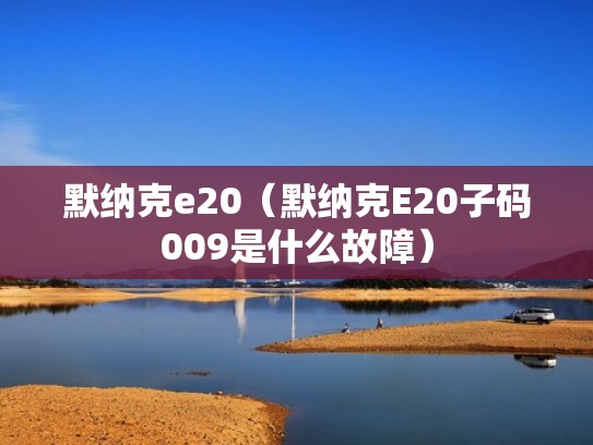 默纳克e20（默纳克E20子码009是什么故障）