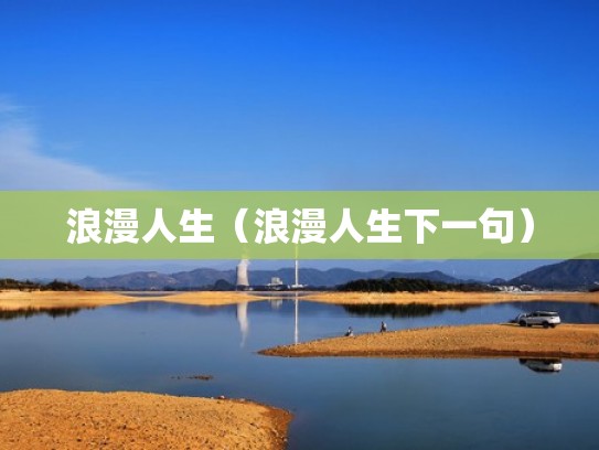 浪漫人生（浪漫人生下一句）