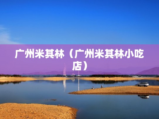 广州米其林（广州米其林小吃店）