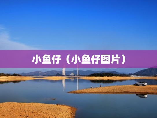 小鱼仔（小鱼仔图片）