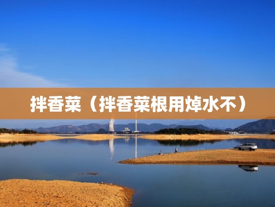 拌香菜（拌香菜根用焯水不）