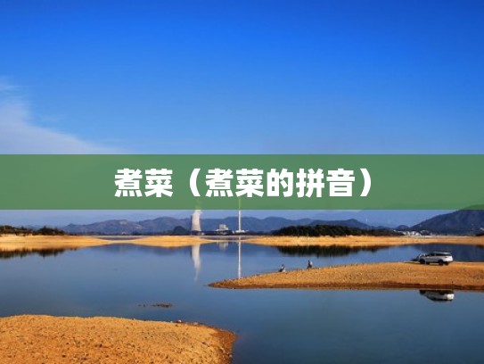 煮菜（煮菜的拼音）