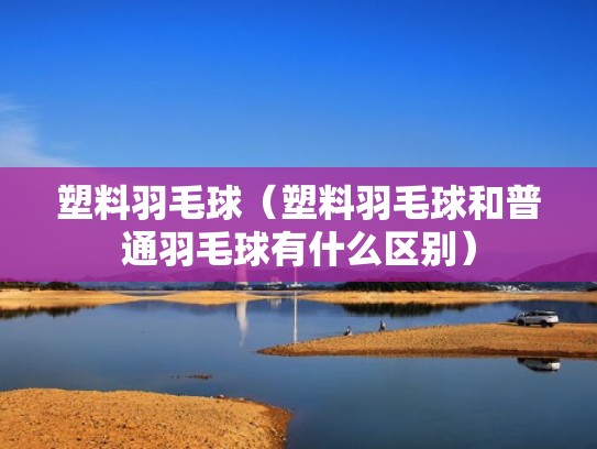 塑料羽毛球（塑料羽毛球和普通羽毛球有什么区别）