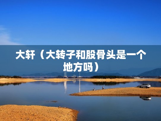 大轩（大转子和股骨头是一个地方吗）