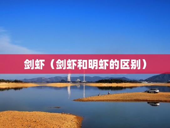 剑虾（剑虾和明虾的区别）