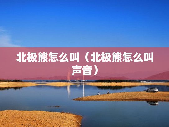 北极熊怎么叫（北极熊怎么叫声音）
