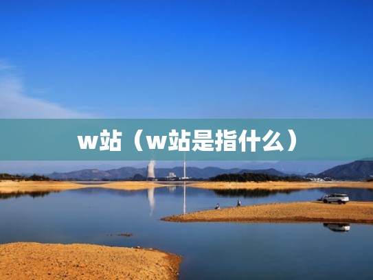 w站（w站是指什么）