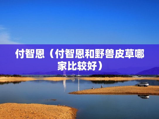 付智恩（付智恩和野兽皮草哪家比较好）