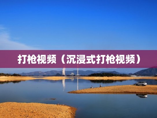 打枪视频（沉浸式打枪视频）