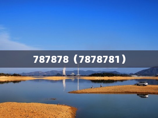 787878（7878781）
