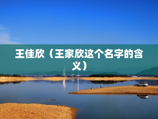 王佳欣（王家欣这个名字的含义）