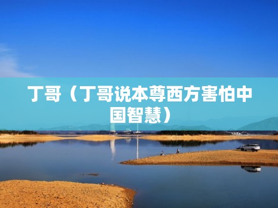 丁哥（丁哥说本尊西方害怕中国智慧）