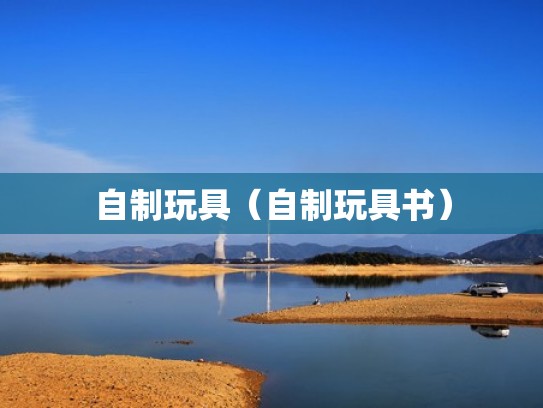 自制玩具（自制玩具书）