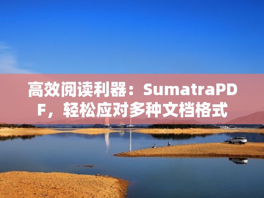 高效阅读利器：SumatraPDF，轻松应对多种文档格式