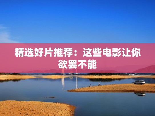 精选好片推荐：这些电影让你欲罢不能