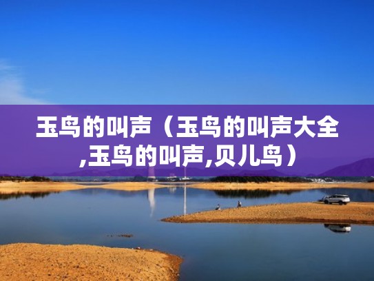 玉鸟的叫声(玉鸟的叫声大全,玉鸟的叫声,贝儿鸟) 玉鸟的叫声(玉鸟的叫声大全,玉鸟的叫声,贝儿鸟)