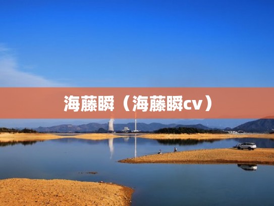 海藤瞬（海藤瞬cv）