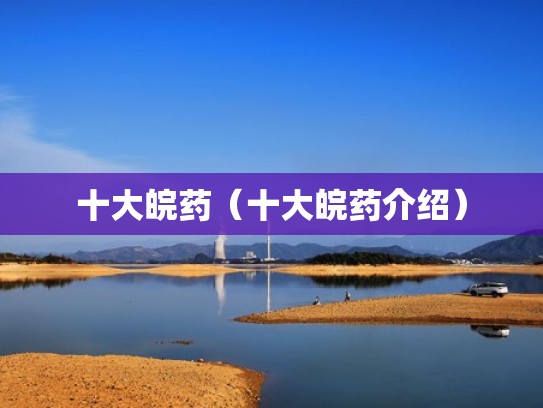 十大皖药（十大皖药介绍）