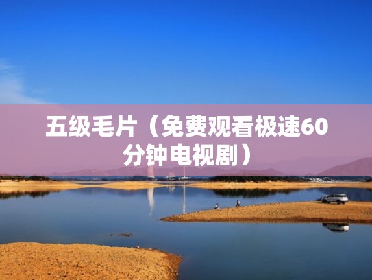 五级毛片（免费观看极速60分钟电视剧）